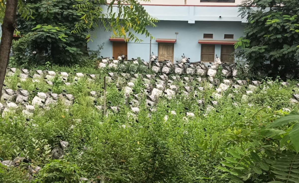 Rajasthan Bought 1,500 Scooters For Girl Students. A Year On, They Are Turning To Scrap