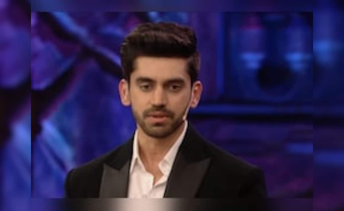 <i>Bigg Boss 18</i>: Turns Out, Avinash Mishra Is Not Evicted, Calls Himself "Villain" Of The Show