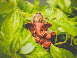 Sankashti Chaturthi 2025: संकष्टी चतुर्थी पर गणपति बप्पा को याद से लगाएं इन वस्तुओं का भोग, खूब बरसेगी कृपा, होंगे वारे न्यारे Sankashti Chaturthi 2025: संकष्टी चतुर्थी पर गणपति बप्पा को याद से लगाएं इन वस्तुओं का भोग, खूब बरसेगी कृपा, होंगे वारे न्यारे