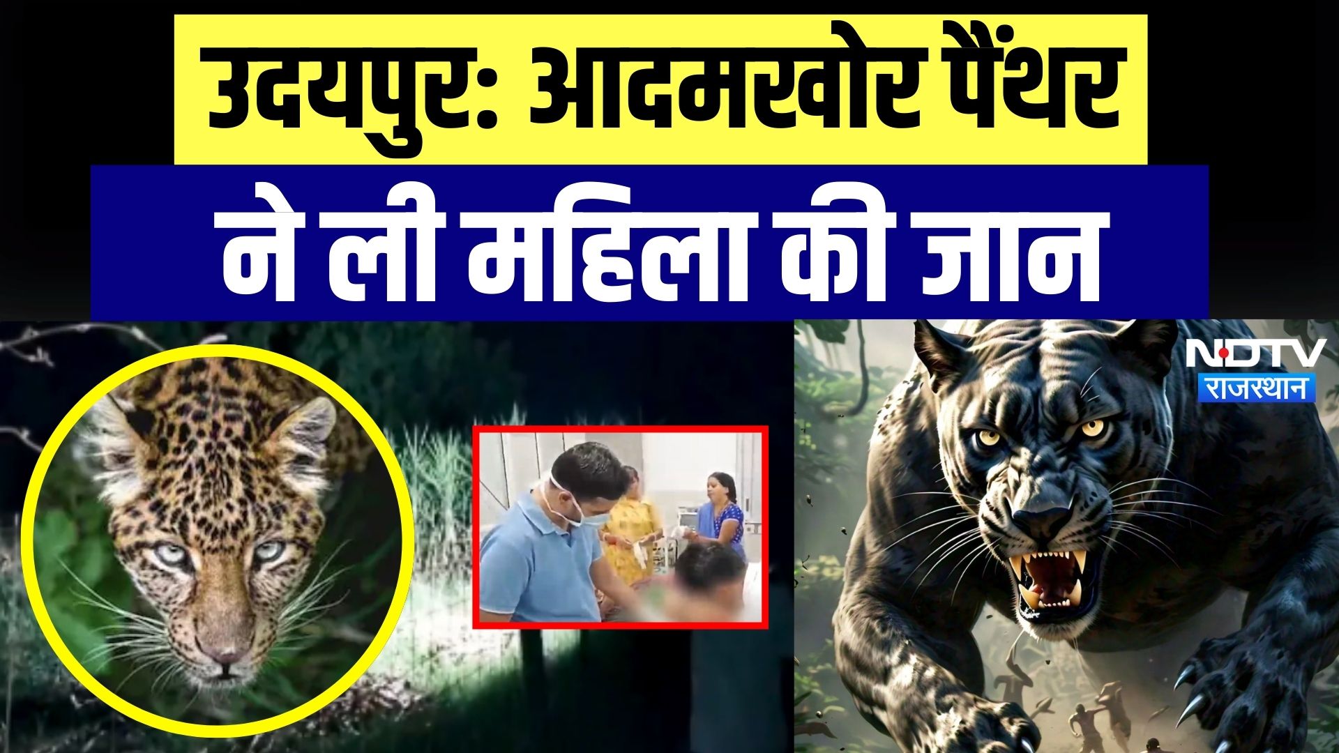 Udaipur में Panther ने खेत में काम कर रही महिला की जान, ग्रामीणों में फैला आतंक
