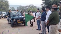Sariska Tiger Reserve: पर्यटकों के लिए खुला सरिस्का, टाइगर के दीदार के लिए शुरू हुई ऑनलाइन बुकिंग &nbsp;