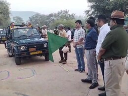 Sariska Tiger Reserve: पर्यटकों के लिए खुला सरिस्का, टाइगर के दीदार के लिए शुरू हुई ऑनलाइन बुकिंग   Sariska Tiger Reserve: पर्यटकों के लिए खुला सरिस्का, टाइगर के दीदार के लिए शुरू हुई ऑनलाइन बुकिंग