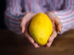 क्या आम खाने पर बढ़ता है वजन? जानिए न्यूट्रिशनिस्ट एक दिन में कितना Mango खाने की दे रही हैं सलाह  क्या आम खाने पर बढ़ता है वजन? जानिए न्यूट्रिशनिस्ट एक दिन में कितना Mango खाने की दे रही हैं सलाह