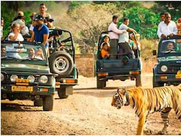 खुल गए रणथंभौर नेशनल पार्क के गेट, 3 महीने बाद शुरू हुई जंगल सफारी, जानें कैसे कर सकते हैं बुकिंग खुल गए रणथंभौर नेशनल पार्क के गेट, 3 महीने बाद शुरू हुई जंगल सफारी, जानें कैसे कर सकते हैं बुकिंग