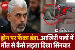 Drone पर फेंका डंडा...देखिए हमले के बाद मौत के करीब कैसे पहुंचा याह्या Drone पर फेंका डंडा...देखिए हमले के बाद मौत के करीब कैसे पहुंचा याह्या