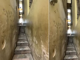 ये है दुनिया की सबसे पतली सड़क, लगी हुई है ट्रैफिक लाइट, घुसते ही सिग्नल देना है जरूरी, वरना बढ़ सकती है मुश्किल ये है दुनिया की सबसे पतली सड़क, लगी हुई है ट्रैफिक लाइट, घुसते ही सिग्नल देना है जरूरी, वरना बढ़ सकती है मुश्किल