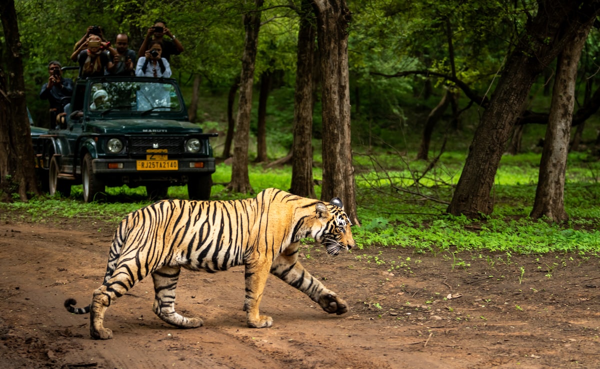 Индия е благословена с естествена красота не само под формата
