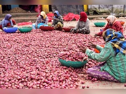 त्योहार के सीजन में नहीं रुलाएगा प्याज...छुक-छुक रेलगाड़ी में लदकर दिल्ली पहुंचा कांदा त्योहार के सीजन में नहीं रुलाएगा प्याज...छुक-छुक रेलगाड़ी में लदकर दिल्ली पहुंचा कांदा