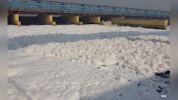 यमुना नदीत फेसाचा जाड स्तर, पाणी झालंय विषारी; CPCB ने सांगितलं कारण