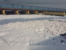 यमुना नदीत फेसाचा जाड स्तर, पाणी झालंय विषारी; CPCB ने सांगितलं कारण