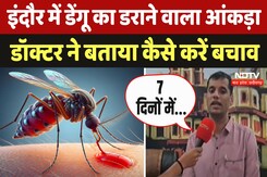Indore में Dengue का डराने वाला आंकड़ा आया सामने, डॉक्टर ने बताया कैसे करें बचाव Indore में Dengue का डराने वाला आंकड़ा आया सामने, डॉक्टर ने बताया कैसे करें बचाव