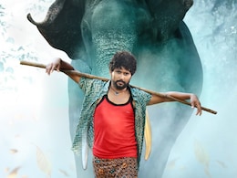 राजेश खन्ना की हाथी मेरे साथी नहीं भोजपुरी फिल्म हाथी मेरे साथी होगी इस दिन रिलीज, यूट्यूब पर छाया ट्रेलर का जलवा राजेश खन्ना की हाथी मेरे साथी नहीं भोजपुरी फिल्म हाथी मेरे साथी होगी इस दिन रिलीज, यूट्यूब पर छाया ट्रेलर का जलवा