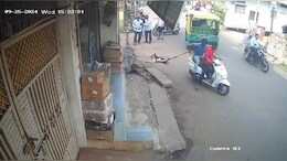 Viral Video: बेटी को कुत्ते ने काटा, तो बदला लेने के लिए डॉगी की क्रूरता से ले ली जान,&nbsp;लोगों ने की कार्रवाई की मांग