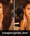 Diwali 2024's Arrival Is Marked By Triptii Dimri's Soft Metallic Makeup