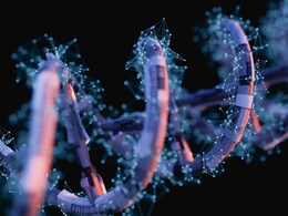 Protein May Help Age-Related Diseases, Indian-Origin Scientist Discovers Protein May Help Age-Related Diseases, Indian-Origin Scientist Discovers