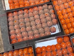 कोटा में खाद्य, स्वास्थ्य विभाग की बड़ी कार्रवाई, भारी मात्रा में दुकान पर फफूंद लगी मिठाई; जमीन में दफनाया