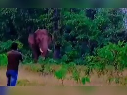 सेल्फी के चक्कर में युवक की गई जान, जंगली हाथी ने बेरहमी से कुचल कर मार डाला सेल्फी के चक्कर में युवक की गई जान, जंगली हाथी ने बेरहमी से कुचल कर मार डाला