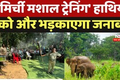 Elephant-Human Conflict: 'मिर्ची मशाल ट्रेनिंग' हाथियों को और भड़काएगा जनाब !, जा चुकी हैं 245 जानें Elephant-Human Conflict: 'मिर्ची मशाल ट्रेनिंग' हाथियों को और भड़काएगा जनाब !, जा चुकी हैं 245 जानें