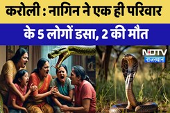 Karoli News : नागिन ने एक ही परिवार के 5 लोगों डसा, 2 की मौत | Latest News | Breaking News Karoli News : नागिन ने एक ही परिवार के 5 लोगों डसा, 2 की मौत | Latest News | Breaking News