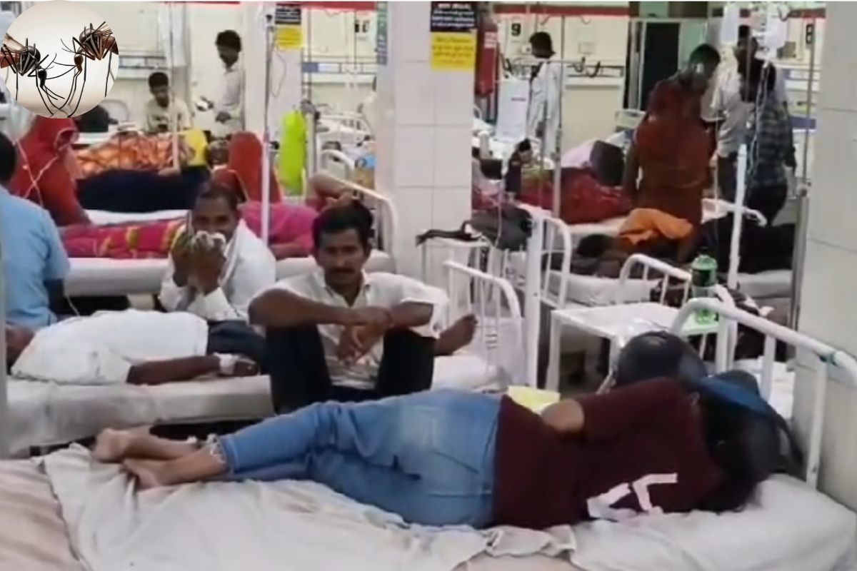 बीकानेर में डेंगू से एक और मौत, 5 पहुंचा आंकड़ा; PBM आउटडोर में 950 से अधिक मरीज, कैसे करें बचाव