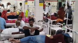 Dengue Alert: अलवर में डेंगू का बढ़ रहा खतरा, जयपुर में इलाज के दौरान एक और युवक की मौत