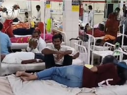 Dengue Alert: अलवर में डेंगू का बढ़ रहा खतरा, जयपुर में इलाज के दौरान एक और युवक की मौत