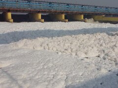 Video: Yamuna Blanketed In Toxic Froth, Delhi Air Quality Remains Poor