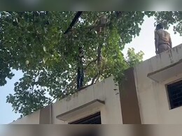 UP: शराब के नशे में पेड़ पर चढ़ा चोर...करने लगा अनोखी डिमांड, पुलिस ने काट दिया चलान