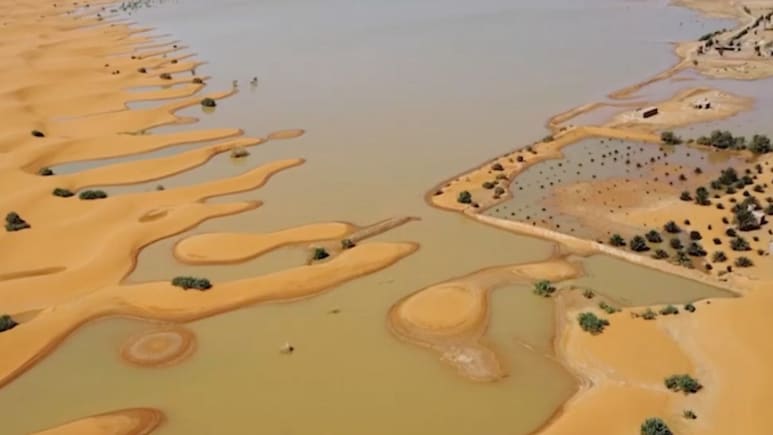 Sahara Desert Witnesses First Floods In 50 Years, Stunning Images Surface