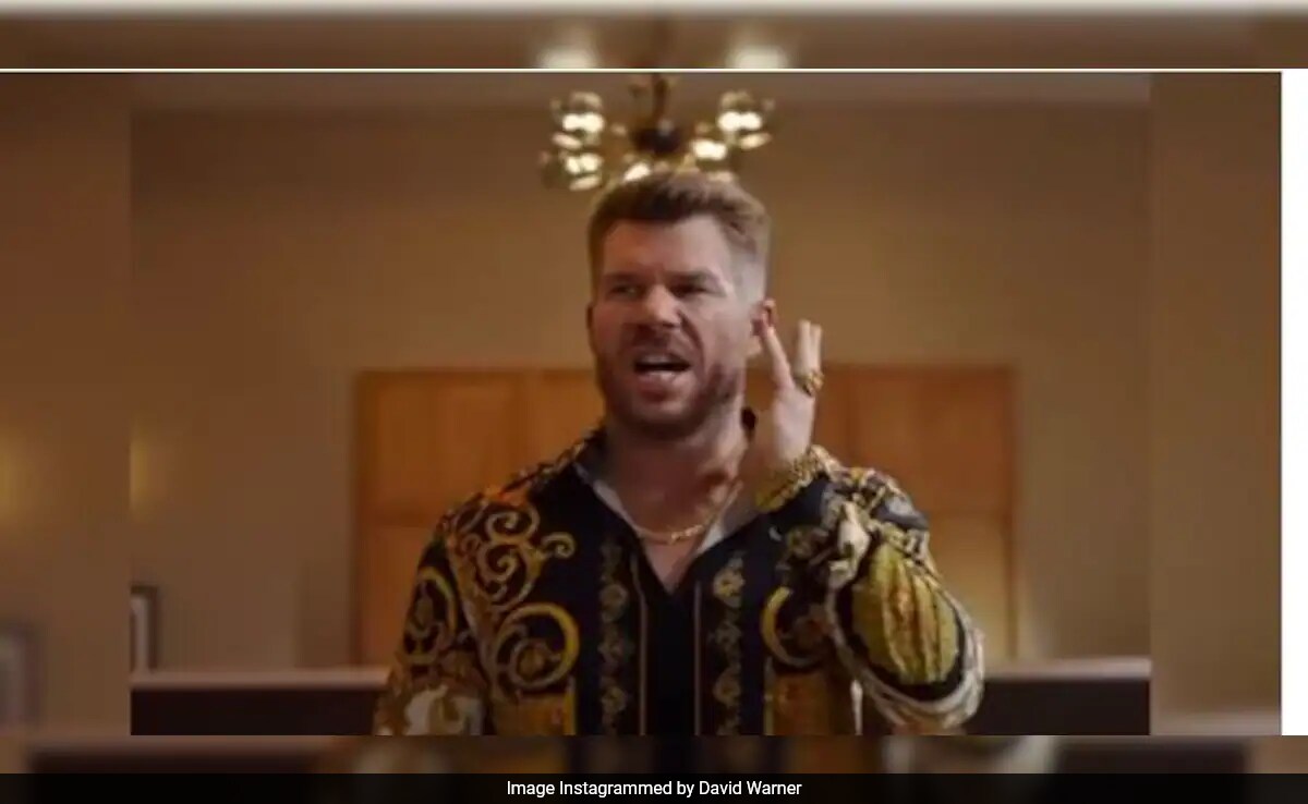 Allu Arjun's Birthday Wish For "Brother" David Warner Is Everything Allu Arjun's Birthday Wish For "Brother" David Warner Is Everything