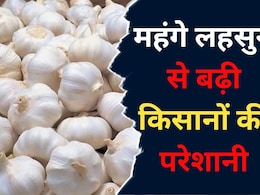 Garlic Price Hike: एमपी में अब लहसुन की 'डकैती', बैतूल में चलते ट्रक से लूट लिए कई बोरे