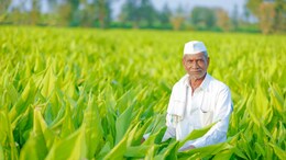 Farmer Registration: किसानों की मांग हुई सफल, धान, ज्वार और बाजरा उपार्जन के लिए बढ़ाई गई रजिस्ट्रेशन की तारीख