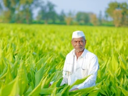 दिवाली पर 81 लाख किसानों को मोहन सरकार का तोहफा, खाते में 1624 करोड़ ट्रांसफर