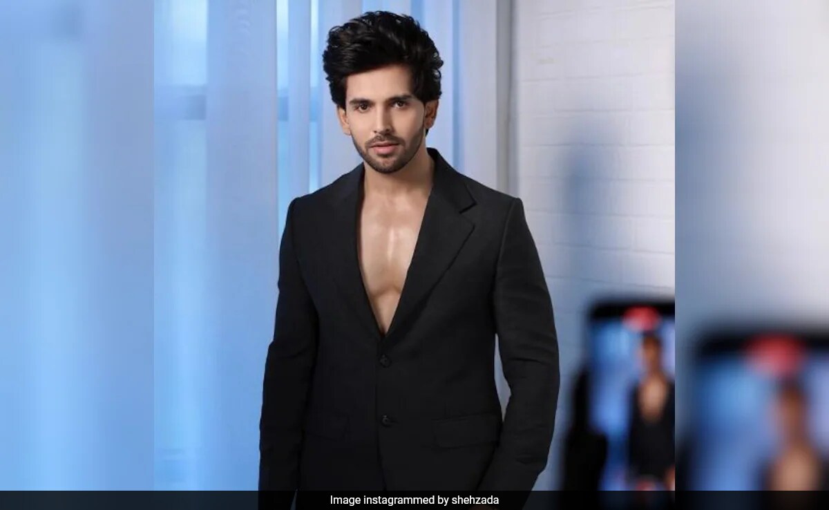 <i>Bigg Boss 18</i> Promo: Contestant Shehzada Dhami Says He Was Humiliated And Sacked From A TV Show