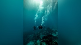 In A First In Saudi Arabia, Couple Gets Married Underwater In The Red Sea