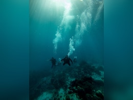 In A First In Saudi Arabia, Couple Gets Married Underwater In The Red Sea In A First In Saudi Arabia, Couple Gets Married Underwater In The Red Sea