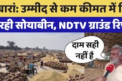 Soyabean Crop: बारां में उम्मीद से कम कीमत में बिक रही सोयाबीन, किसान परेशान Soyabean Crop: बारां में उम्मीद से कम कीमत में बिक रही सोयाबीन, किसान परेशान