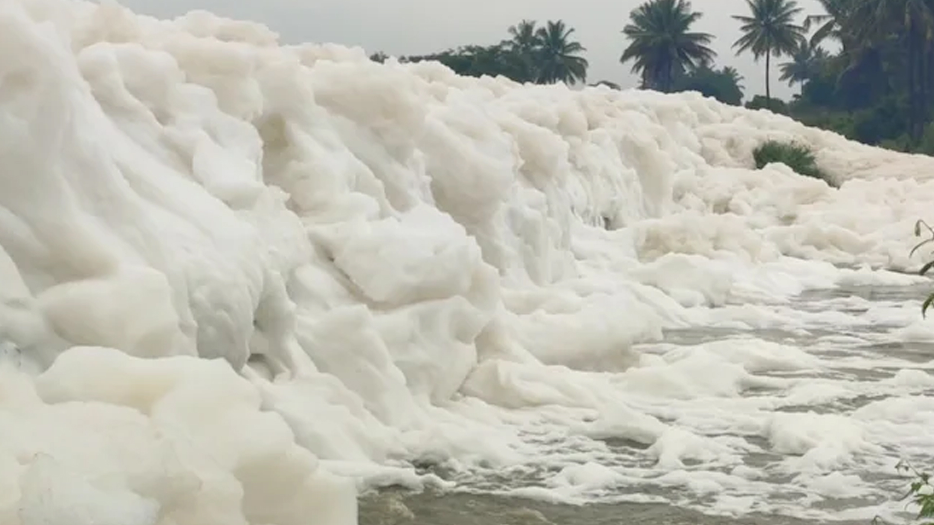 Toxic Foam Appears On Road Near Bengaluru After Heavy Rain