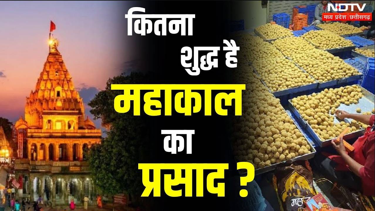 Ujjain Mahakal Prasad: कितना शुद्ध है महाकाल का प्रसाद?? देखिए NDTV की एक्सक्लूसिव रिपोर्ट