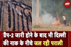 Delhi Air Pollution: GRAP-2 जारी होने के बाद भी दिल्ली की नाक के नीचे जल रही पराली | Air Pollution Delhi Air Pollution: GRAP-2 जारी होने के बाद भी दिल्ली की नाक के नीचे जल रही पराली | Air Pollution