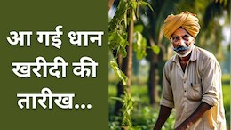 CG Dhan Kharidi: किसानों के लिए बड़ा अपडेट, इस दिन से शुरू होगी धान खरीदी, कितना होगा समर्थन मूल्य?
