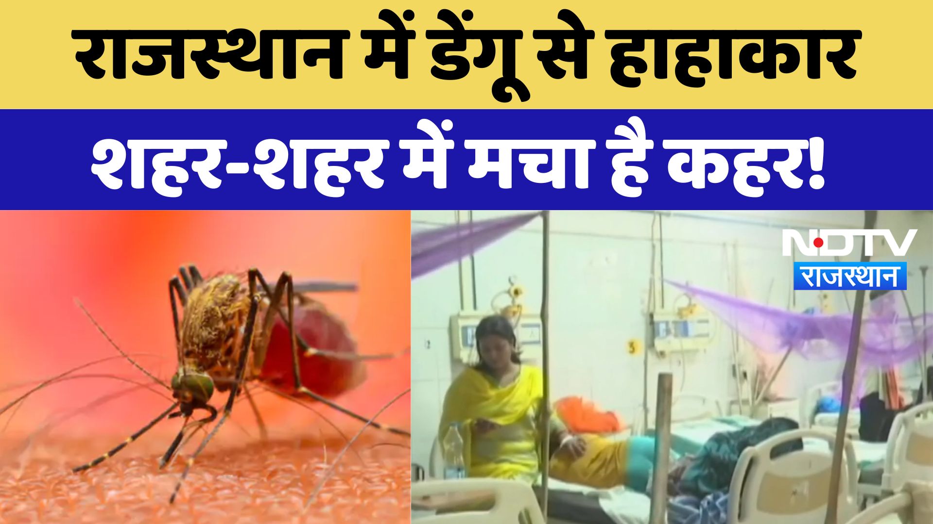Rajasthan में Dengue से हाहाकार शहर-शहर में मचा है कहर! | Latest News | Breaking News