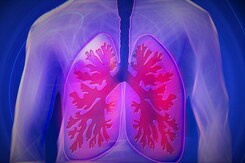 Lungs Importance: सांस लेने से परे फेफड़े करते हैं ये अद्भुत काम जो आप नहीं जानते होंगे Lungs Importance: सांस लेने से परे फेफड़े करते हैं ये अद्भुत काम जो आप नहीं जानते होंगे