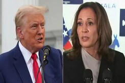 What Happens After Nov 5 In Race To White House? | Trump vs Harris: Who'll Cross The Finish Line? What Happens After Nov 5 In Race To White House? | Trump vs Harris: Who'll Cross The Finish Line?