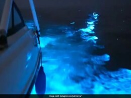 Watch: California Coast Illuminated By Glowing Blue Waves Watch: California Coast Illuminated By Glowing Blue Waves