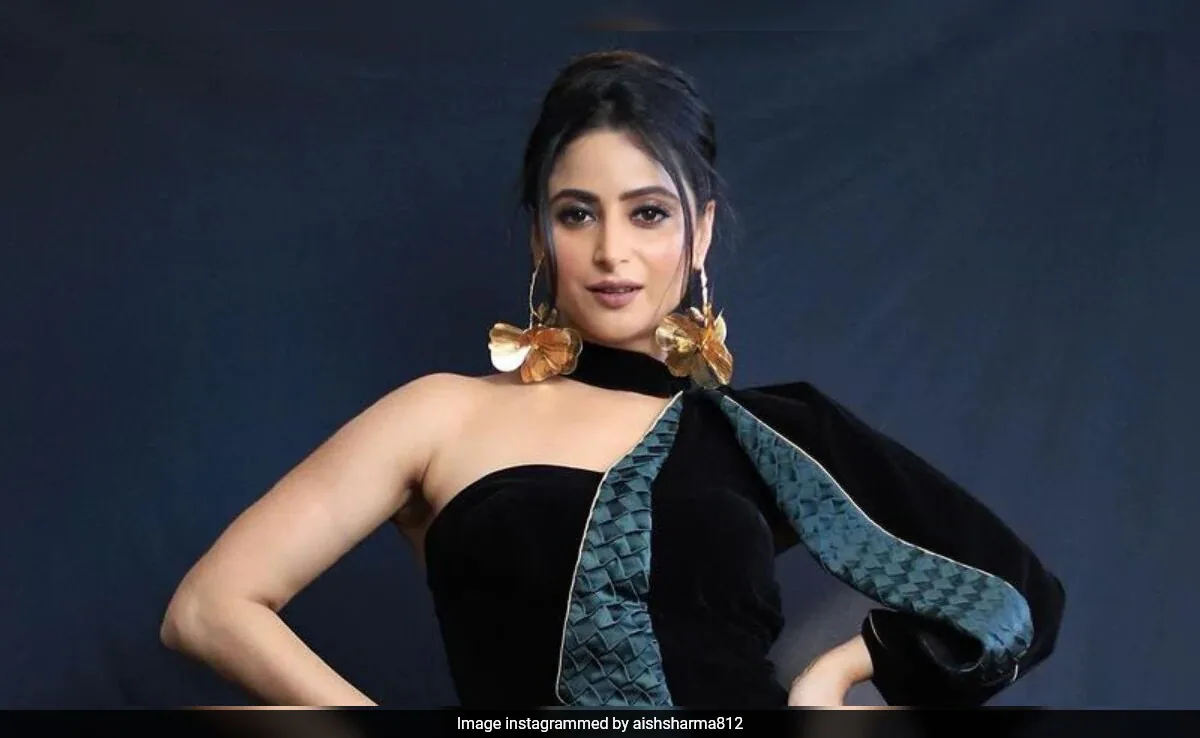 Aishwarya Sharma Warns Fans Against Online Scam In Her Name: "People Are Making You Fool"