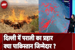 Delhi में खतरनाक स्तर पर AQI, बीते 4 साल में Haryana और Punjab में Stubble Burning में कितना बदलाव ? Delhi में खतरनाक स्तर पर AQI, बीते 4 साल में Haryana और Punjab में Stubble Burning में कितना बदलाव ?
