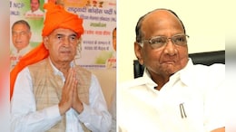 पवारांचा हरियाणात एकमेव उमेदवार, जिंकला नाही पण काँग्रेसचा उमदेवार पाडला