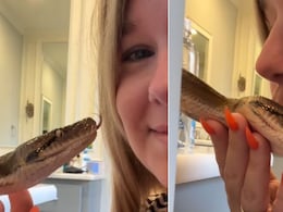 अजगर को प्यार से Kiss करती दिखी महिला, फिर सांप को ऐसे किया खूब दुलार, Video देख कांप उठेगी रूह अजगर को प्यार से Kiss करती दिखी महिला, फिर सांप को ऐसे किया खूब दुलार, Video देख कांप उठेगी रूह