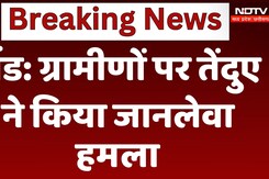 Bhind Panther Attack: ग्रामीणों पर तेंदुए ने किया जानलेवा हमला